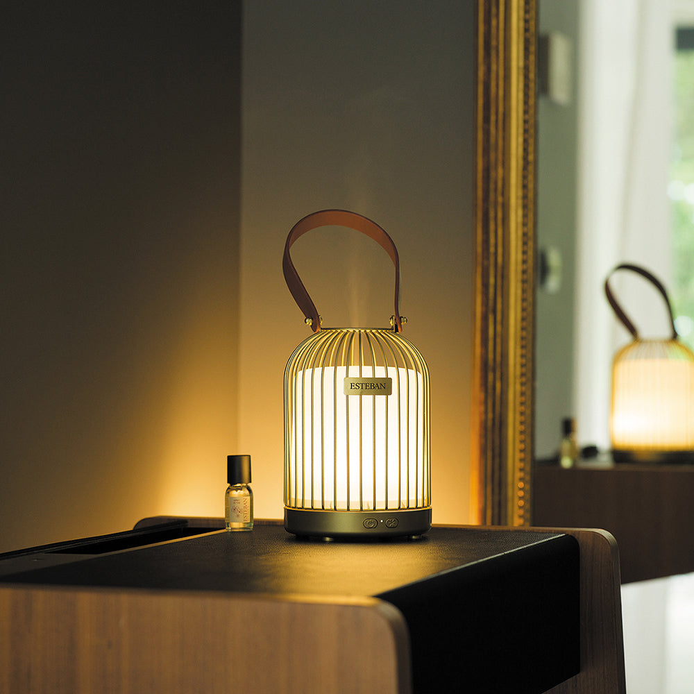 パフュームミストディフューザー ランピオン – ESTEBAN