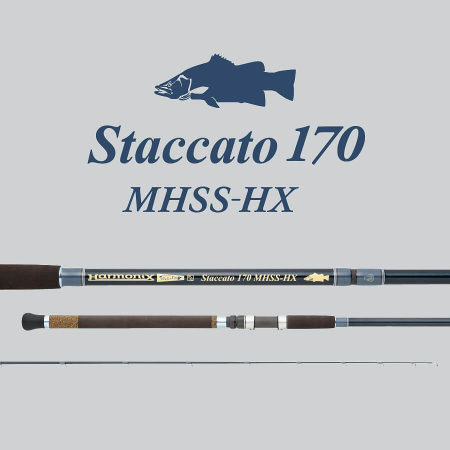 Staccato 170 MHSS-HX – TULALA online store