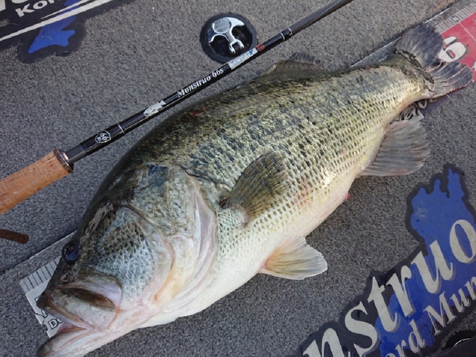 TULALA | Ford every stream | » Monstruo”ConceptDestruction” 66MLS