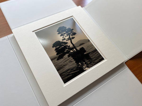 手中一滴（特装版）｜山本昌男 – T&M Projects