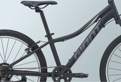 ジャイアント(GIANT) XTC JR 24(エックスティーシー ジュニア 24) 2021