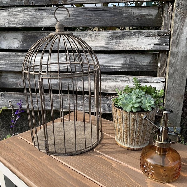 楽天市場】バードケージ ディスプレイ ヴィンティー バードゲージ