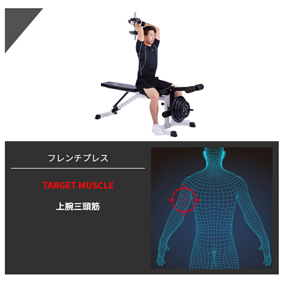 楽天市場】【全品ポイント10倍☆11日1：59まで】BODYDESIGN（ボディ