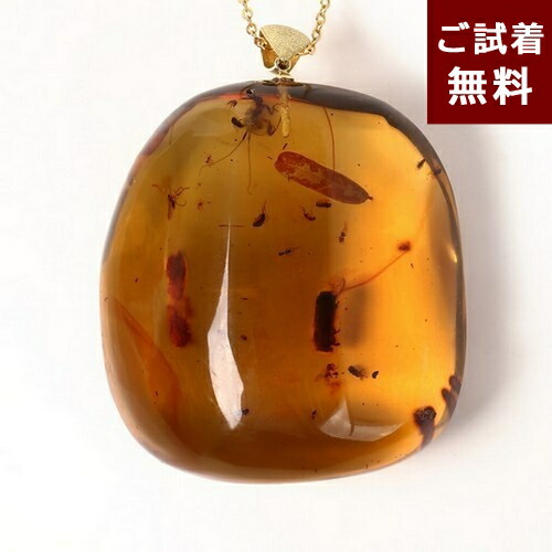 楽天市場】＼最大30％OFFクーポン／化石 虫入り琥珀 ペンダントトップ