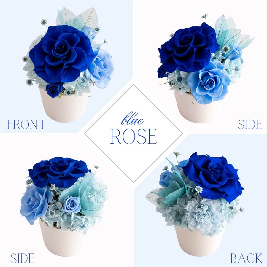楽天市場】＼10％OFFクーポン／ プリザーブドフラワー 青いバラ ブルー