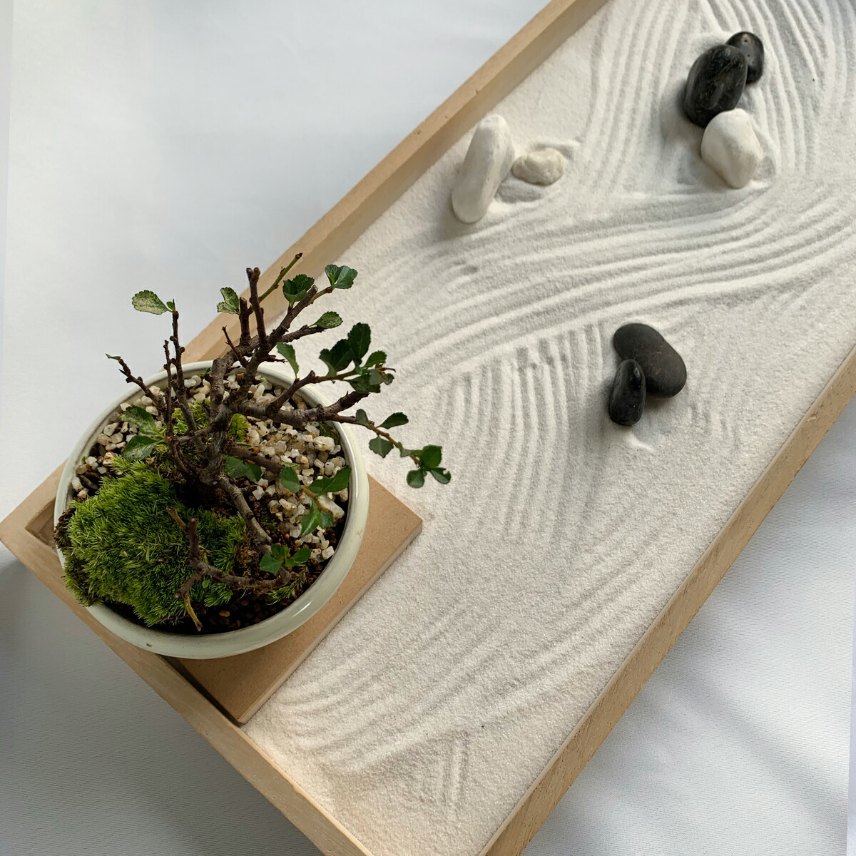 楽天市場】インテリアミニ枯山水 キット 作って飾れる ミニ庭園 枯山水