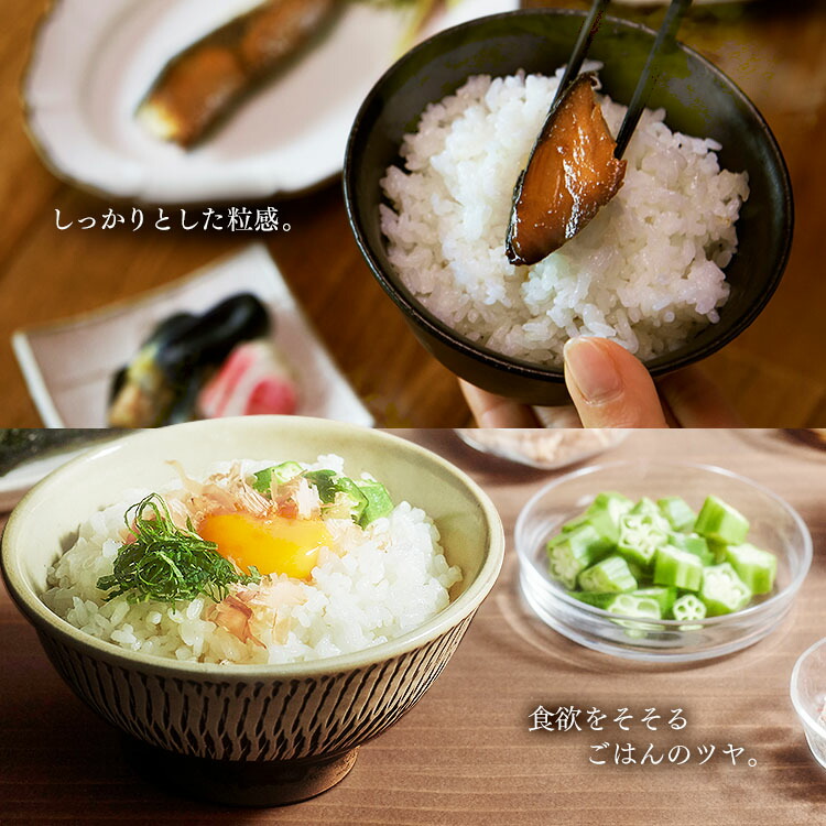 楽天市場】炊飯器 1升 圧力ih 10合 圧力IH炊飯器 ジャー炊飯器 RC-PD10