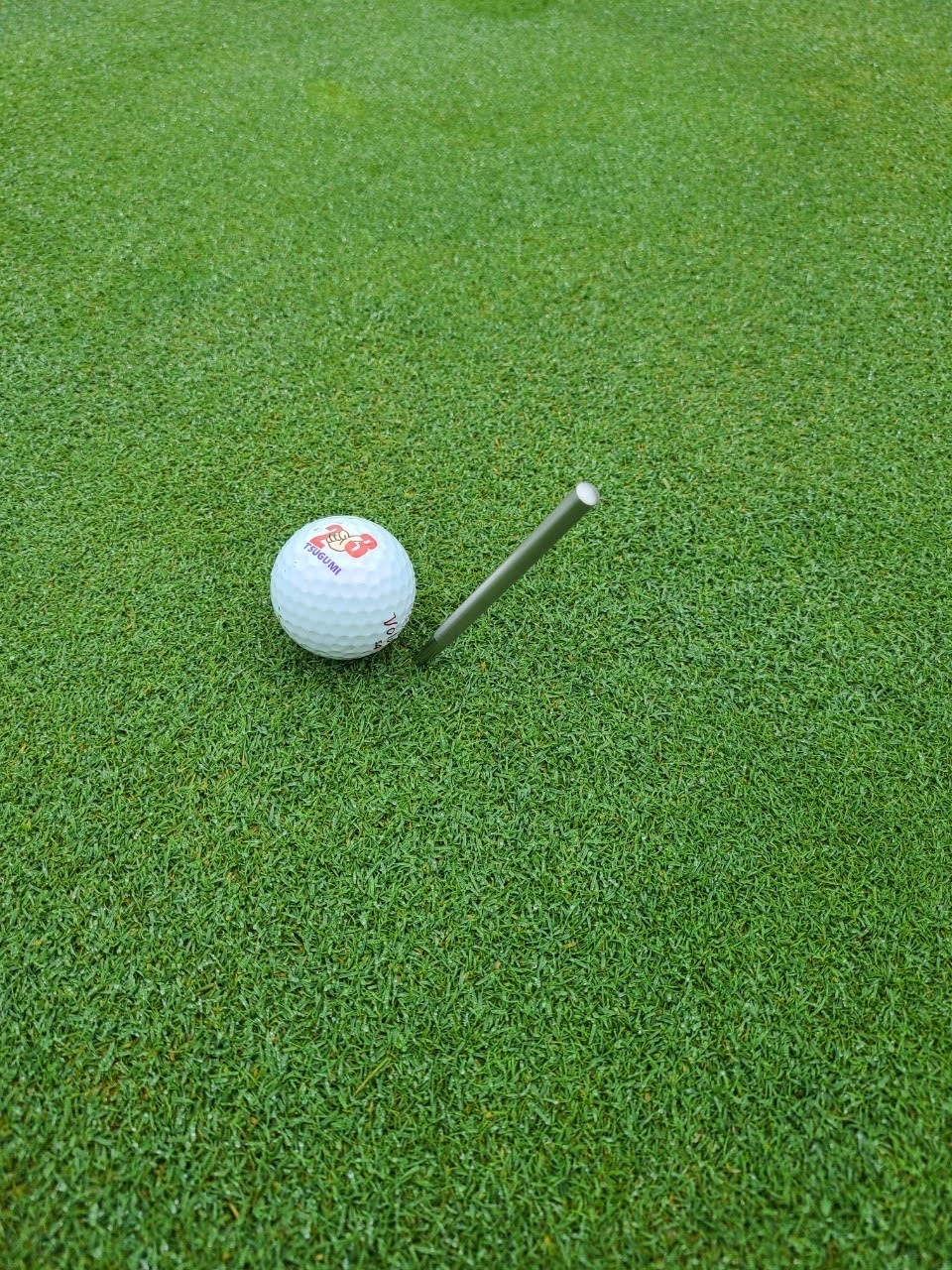 楽天市場】ゴルフ グリーンフォーク グリーンディボット ゴルフ