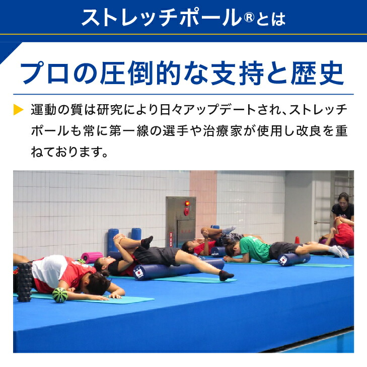 楽天市場】LPN ストレッチポールMX(ライトグリーン)スタートBOOK