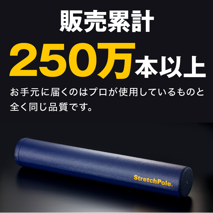 楽天市場】LPN ストレッチポールEX(イエロー)スタートBOOK