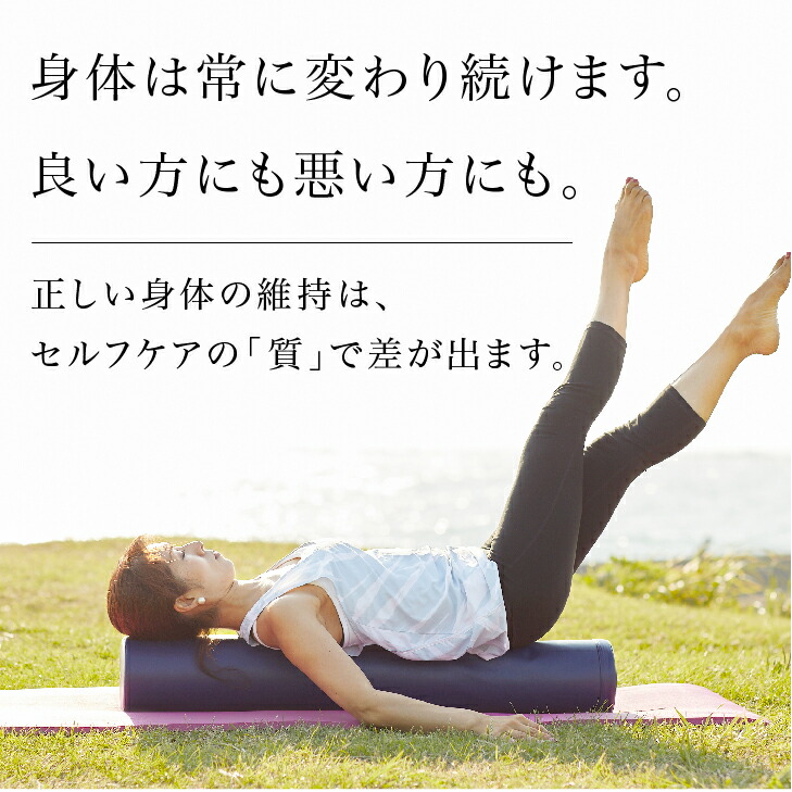 楽天市場】LPN ストレッチポールEX(ネイビー) スタートBOOK