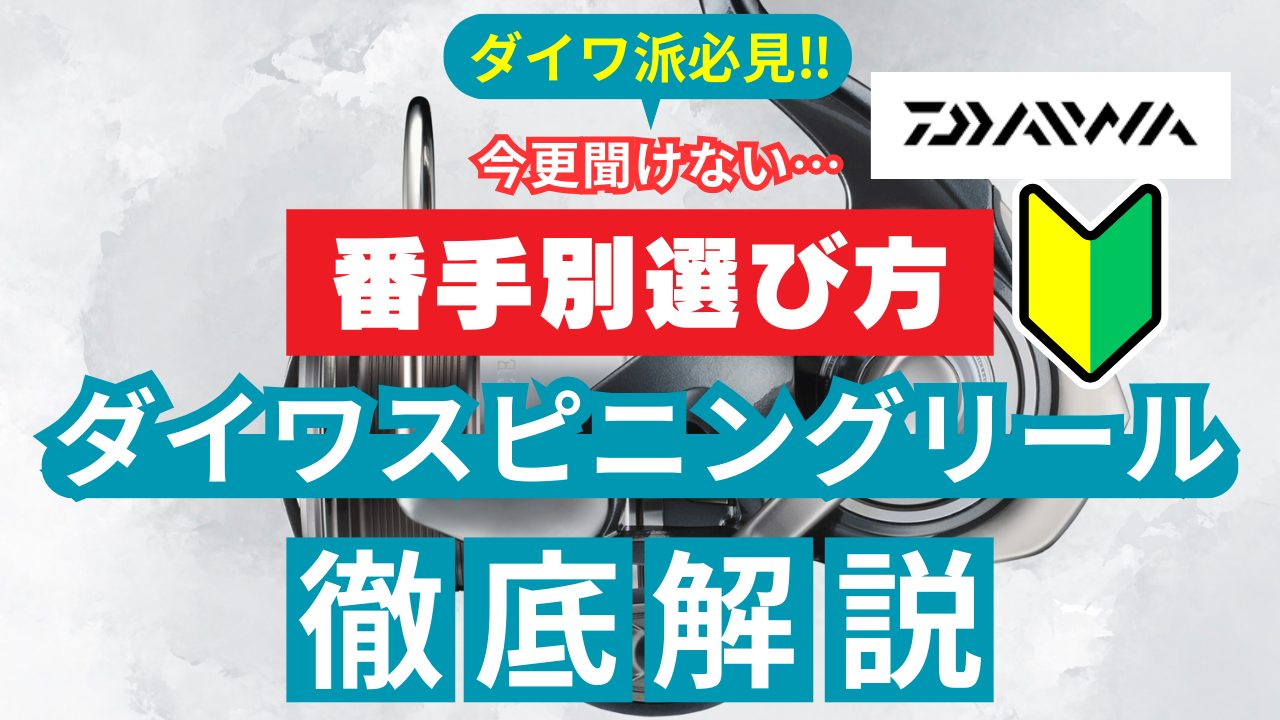 ダイワのスピニングリール番手選びガイド｜初心者必見のおすすめモデル