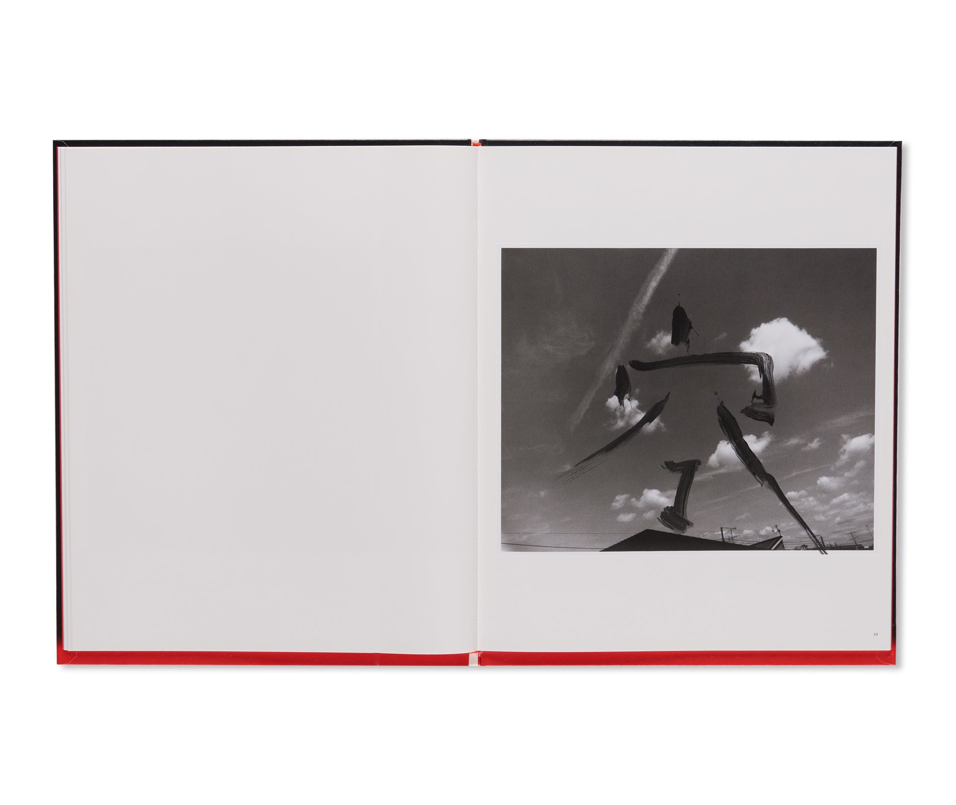 荒木経惟： Koshoku Painting】 大幅に値下げしました 荒木経惟