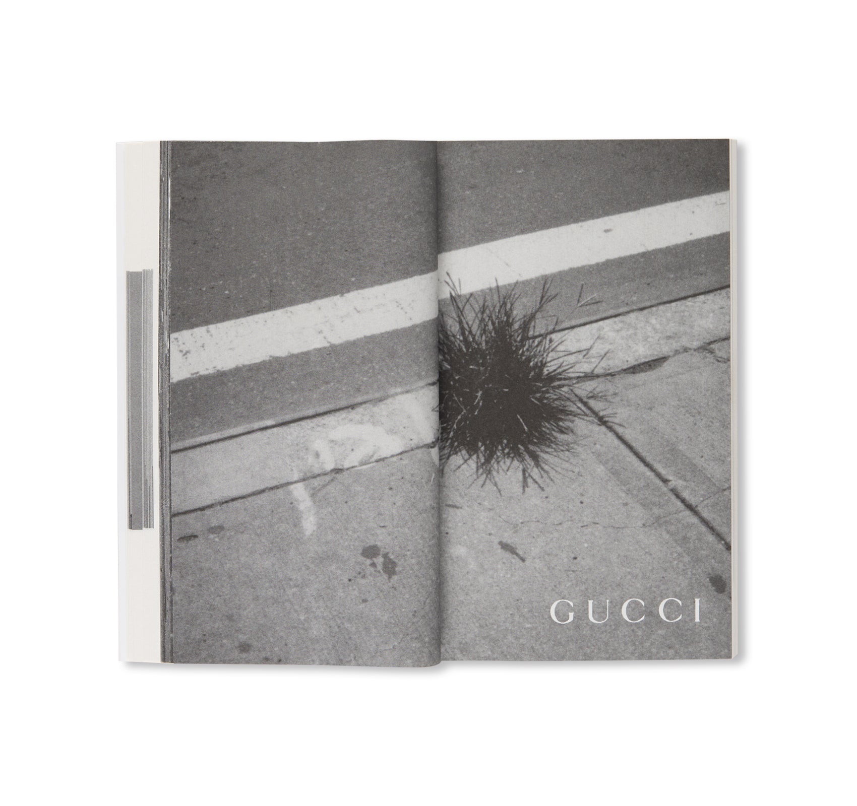 SOCIAL DOCUMENTARIES AMID THIS PIST by Mark Borthwick – twelvebooks