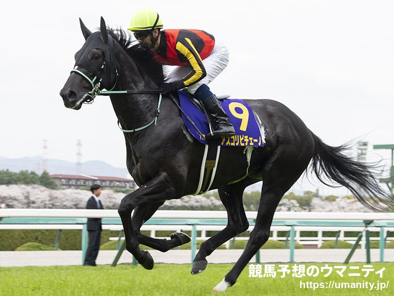 競馬2着馬物語 【公式通販】