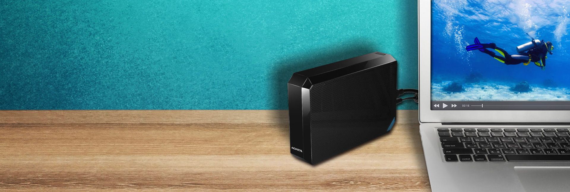 HM800外付けHDD (Japan)