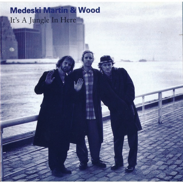 Medeski, Martin ＆ Wood / メデスキ・マーティン＆ウッド「It's A