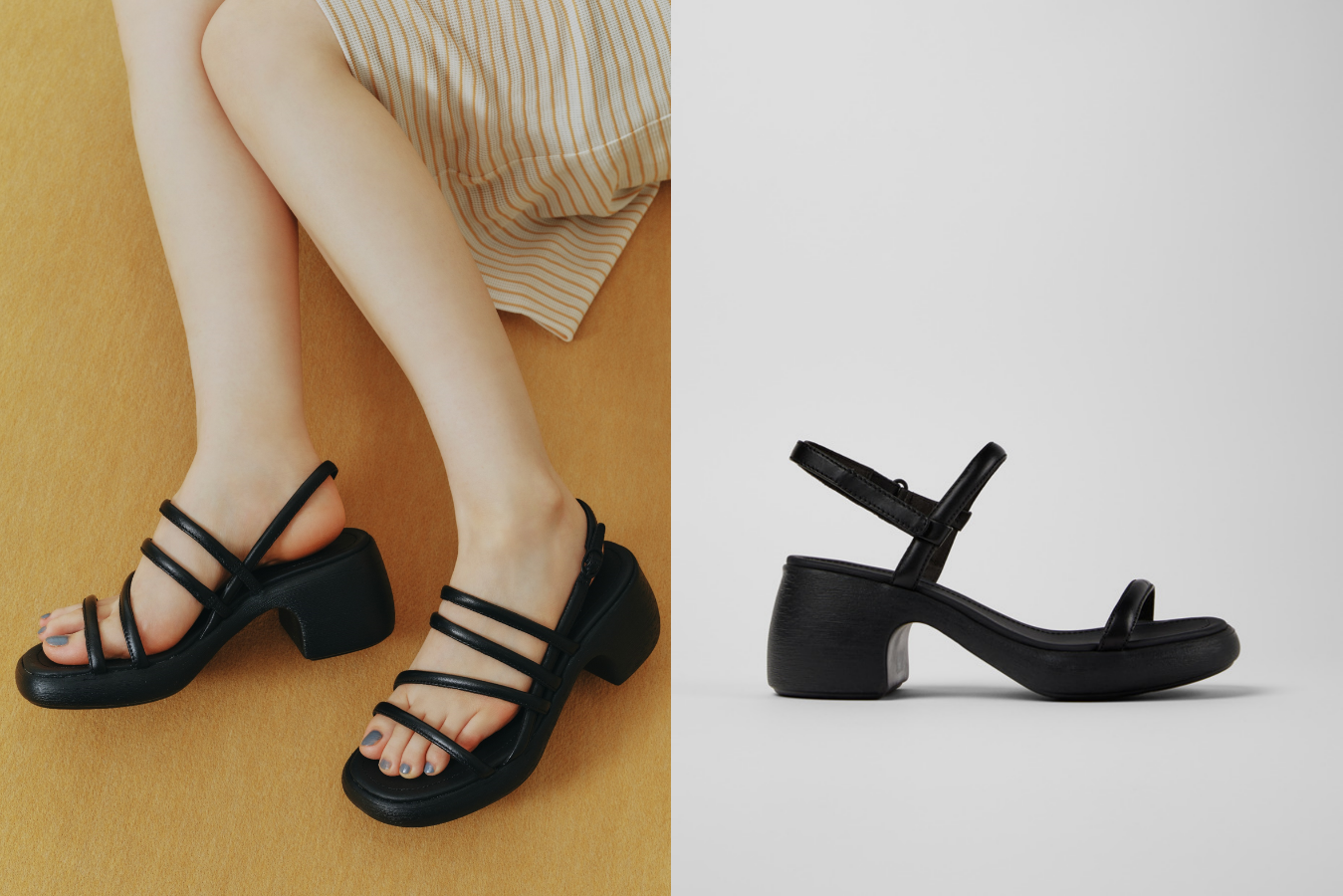 サンスベリア　ブラックパール　斑入 S. Black Pearl Var サンスベリア 2.5号 マルゲリータ 黒ポリポット｜観葉02-D2 : 赤塚