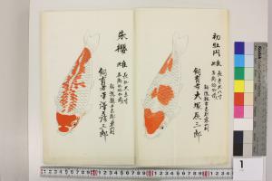 錦鯉絵型帳及び関連資料（にしきごいえがたちょうおよびかんれんし