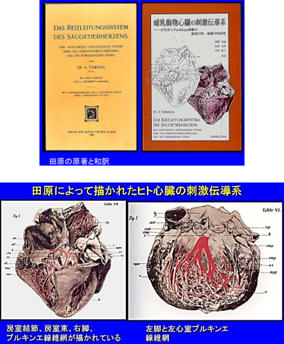 田原淳博士 生誕150周年記念ミュージアム―田原結節は時を超えて－ | 第