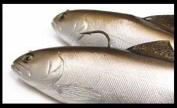 HUDDLESTON/ハドルストン 8inchスイムベイト/ROF-12 - 【バス