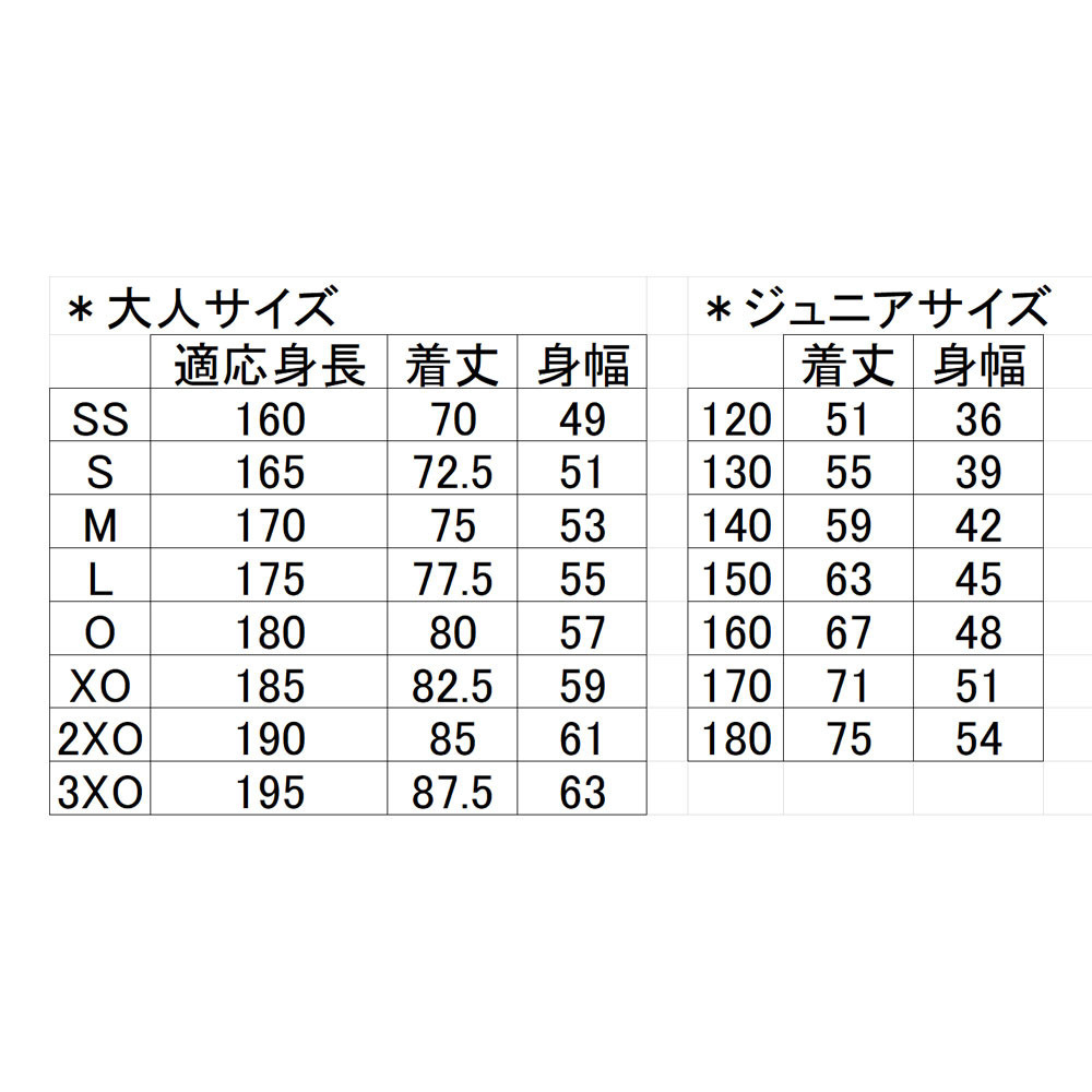 オーセンティックサードユニフォーム2025-2026【自由入力用】｜山口