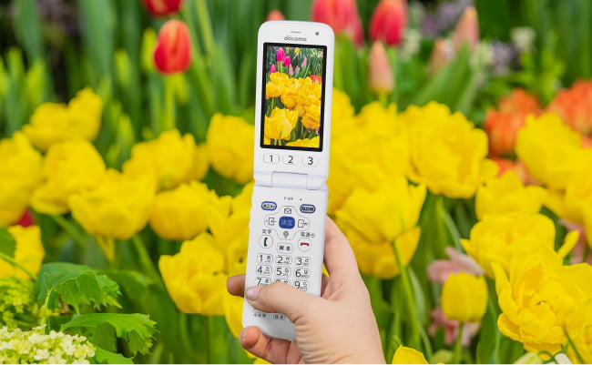 らくらくホン F-41F | らくらくホン | 製品 | NTTドコモ