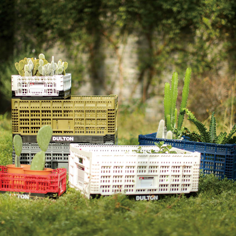 DULTON ONLINE SHOP | FOLDING MESH STORAGE 48L RED(48L RED): ホーム用品