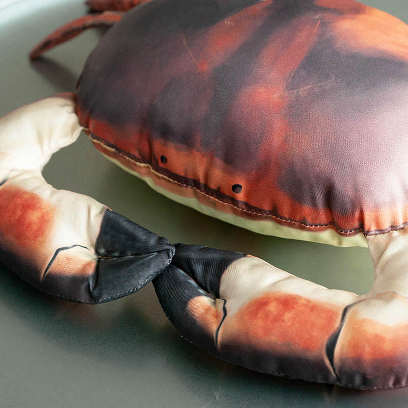 DULTON ONLINE SHOP | FISHES BROWN CRAB 25(BROWN CRAB): インテリア雑貨