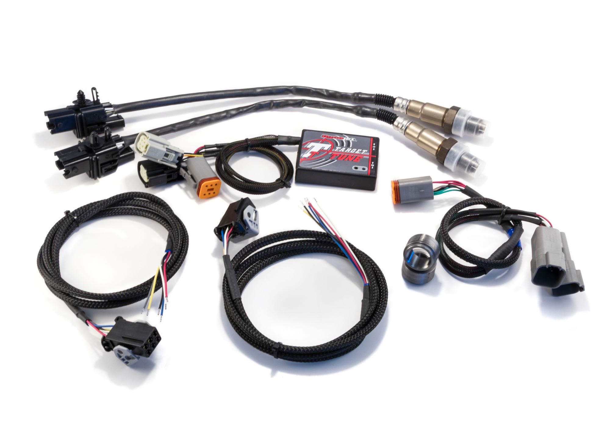 Target Tune for Harley-Davidson CAN ECU 10/10