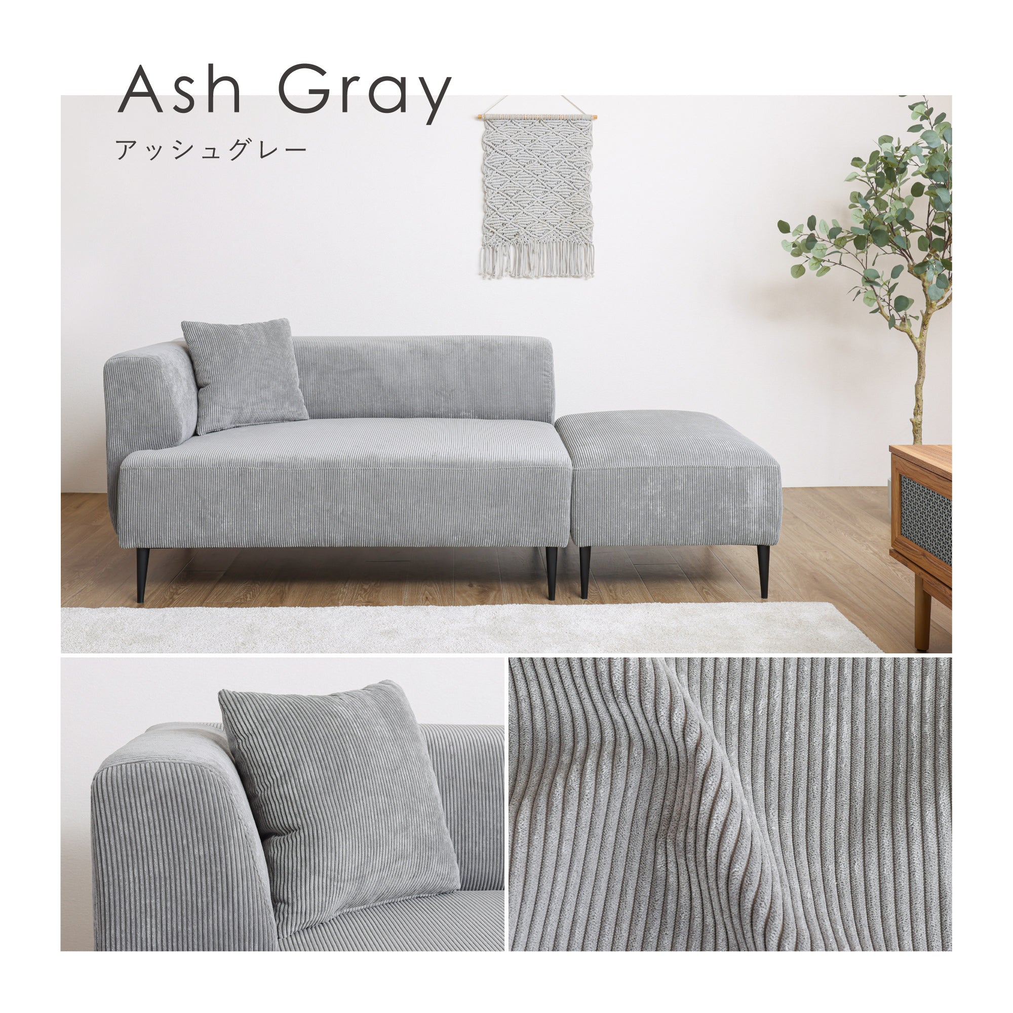 sf-sicmo_ds1.jpg?v=1702019376&