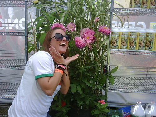 フローラ Micro/Bloom/Gro 3本セット - 室内園芸 Flora Farm 03-6416-5200