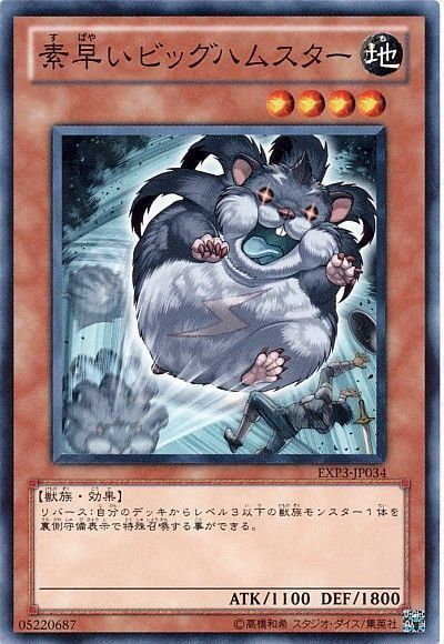 遊戯王】 素早いビッグハムスター EXP3/ノー の通販 - カーナベル