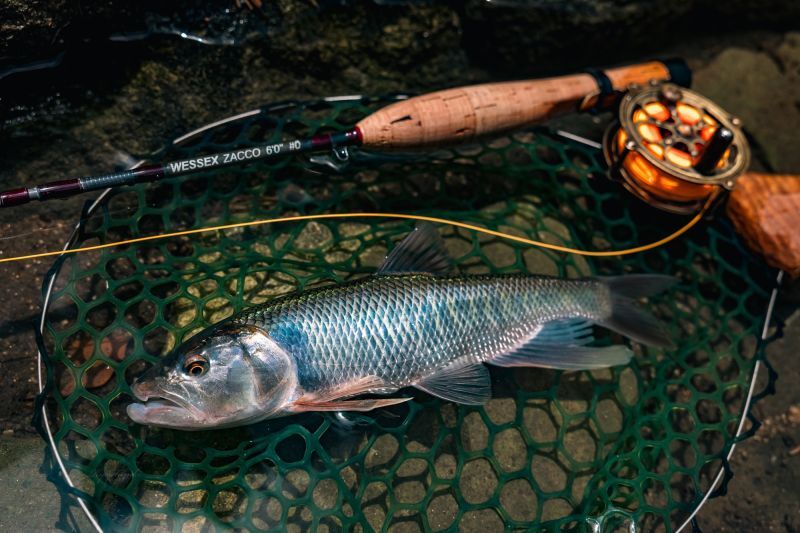 ☆ご予約商品☆納期30〜40日☆オイカワフライに人気のソリッドティップ