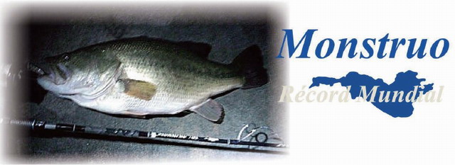 TULALA モンストロ 66S(スピニングモデル) 【シーバスルアー専門店