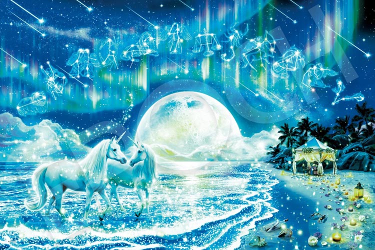 EPO-13-046s キシダヨシマサ スターダスト メモリーズ 1000ピース