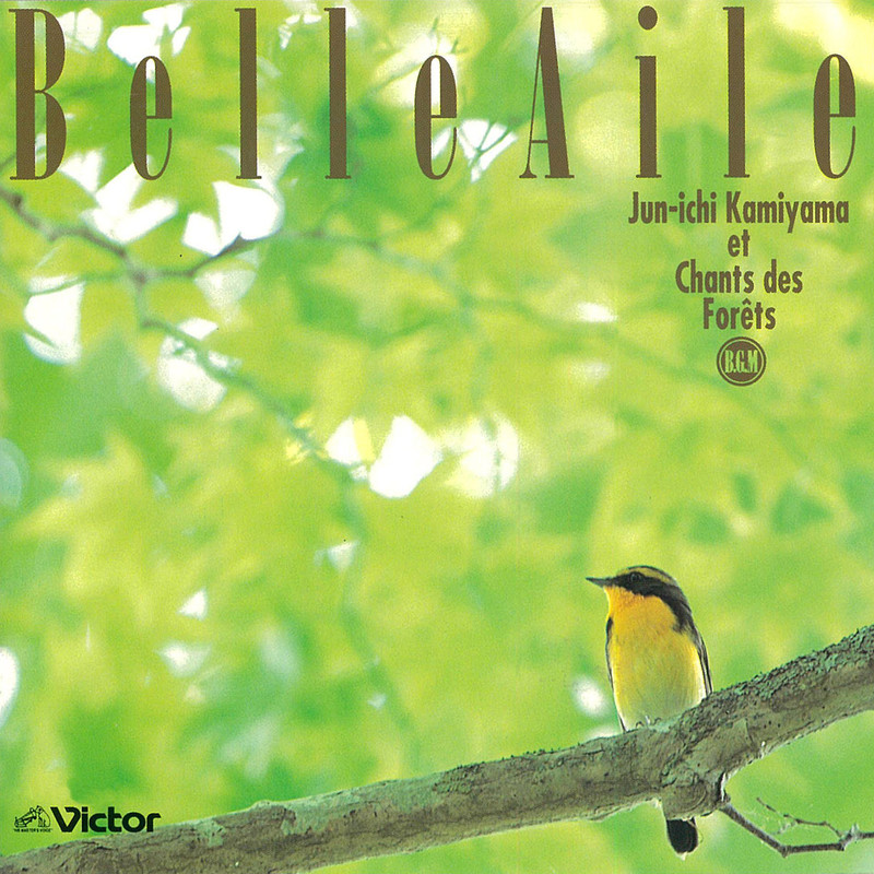 神山 純一 & シャン・デ・フォレ | ベル・エール 鳥が奏でる森の