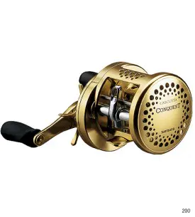 カルカッタ コンクエスト [CALCUTTA CONQUEST] コンクエスト200(右