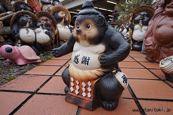 信楽焼相撲横綱狸【まわし付き】縁起置物陶器の拡大画像