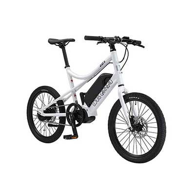 LOUIS GARNEAU / ルイガノ / EASEL INTER5E DI2 / ミニベロEバイク