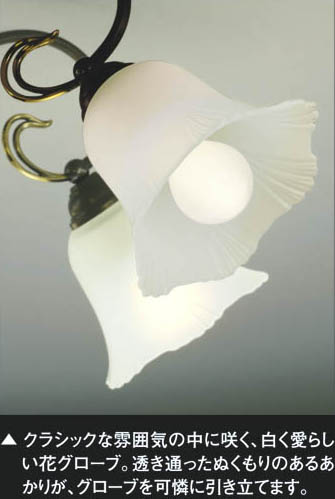 コイズミ照明 KOIZUMI イルムペンダント APN615117 | 商品紹介 | 照明