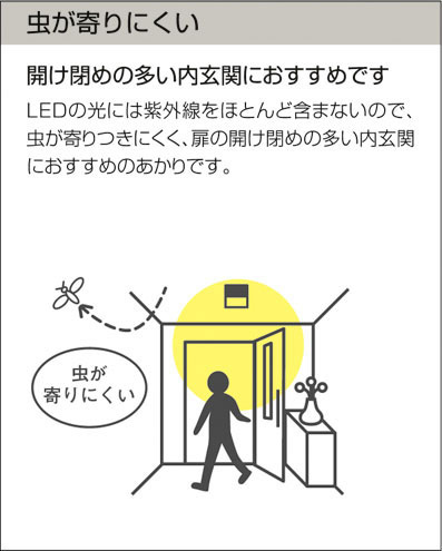 DAIKO 大光電機 小型シーリング DCL-8113YW | 商品紹介 | 照明器具の