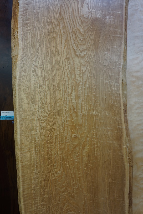 天然木 東京 新宿 東五軒町店展示 欅（けやき・ケヤキ）材 一枚板