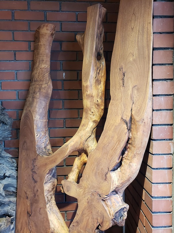 天然木 東京 新宿 東五軒町店展示 欅（けやき・ケヤキ）材 一枚板