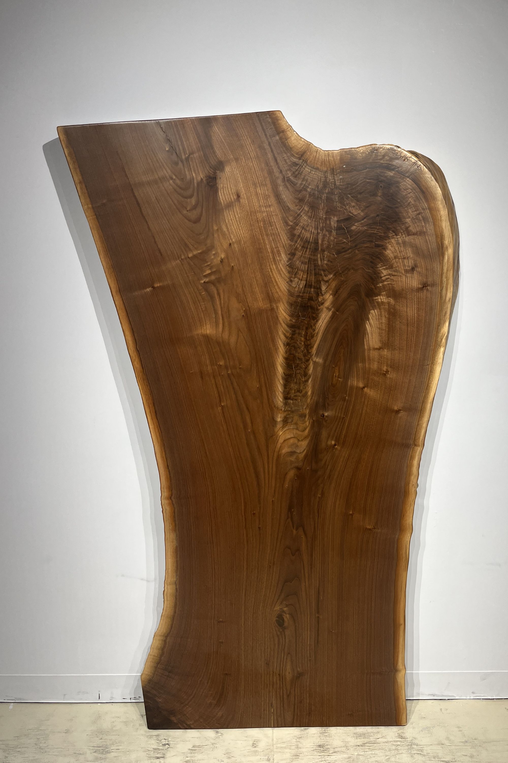 天然木 東京 新宿 東五軒町店展示 欅（けやき・ケヤキ）材 一枚板