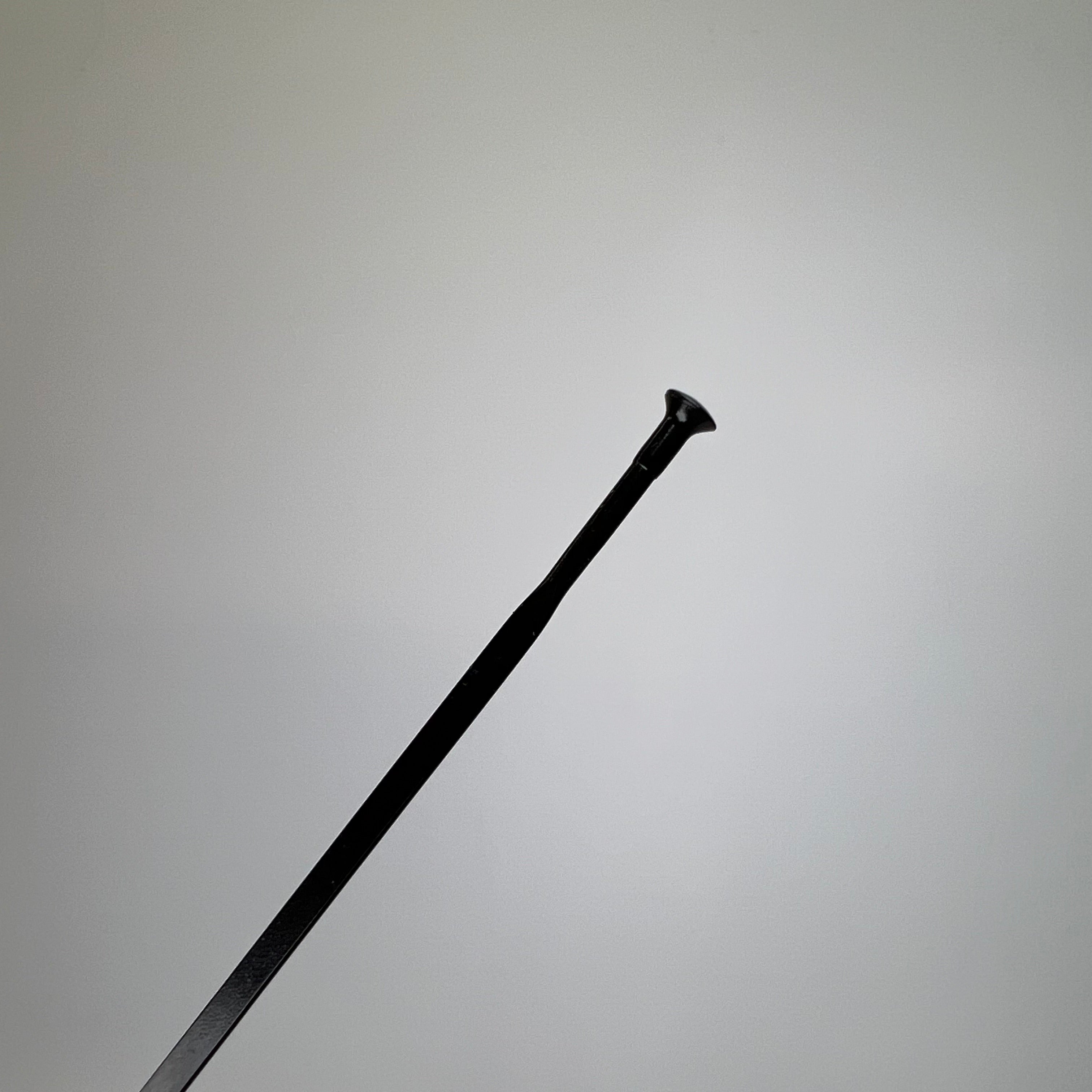 Mavic Aksium Elite Spokes V3664701, V3664701 (2020+) - RogueMechanic