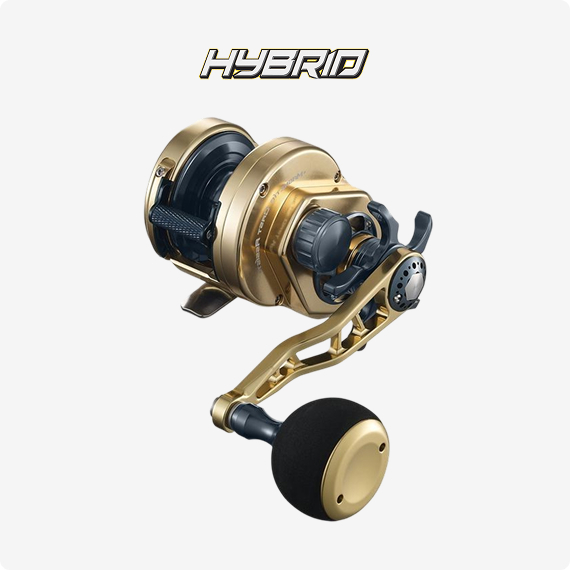 Reels Sealion Series Sealion Two Speed Series