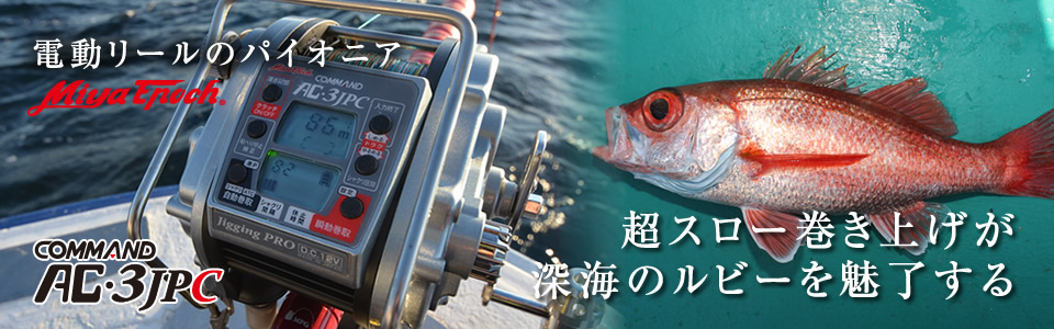 フィッシングトップ｜ミヤエポック