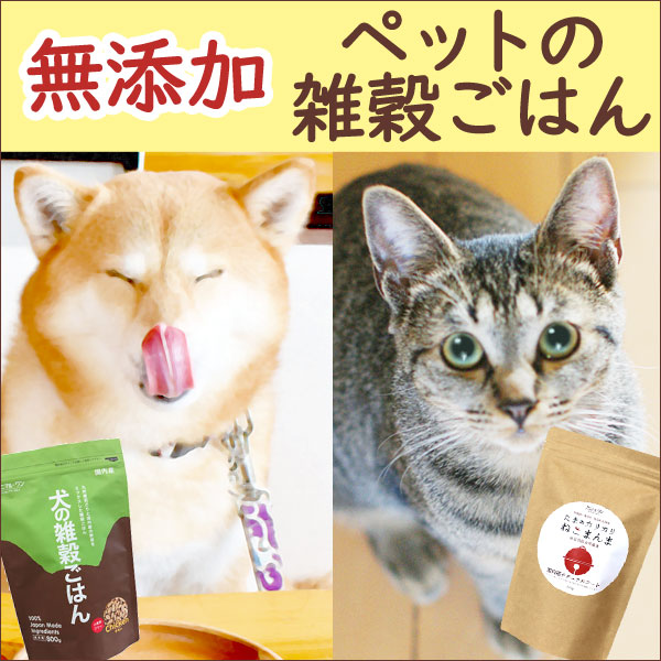 本格派ジューサー野菜NEWしぼるくん グリーンパワーGP-E1503