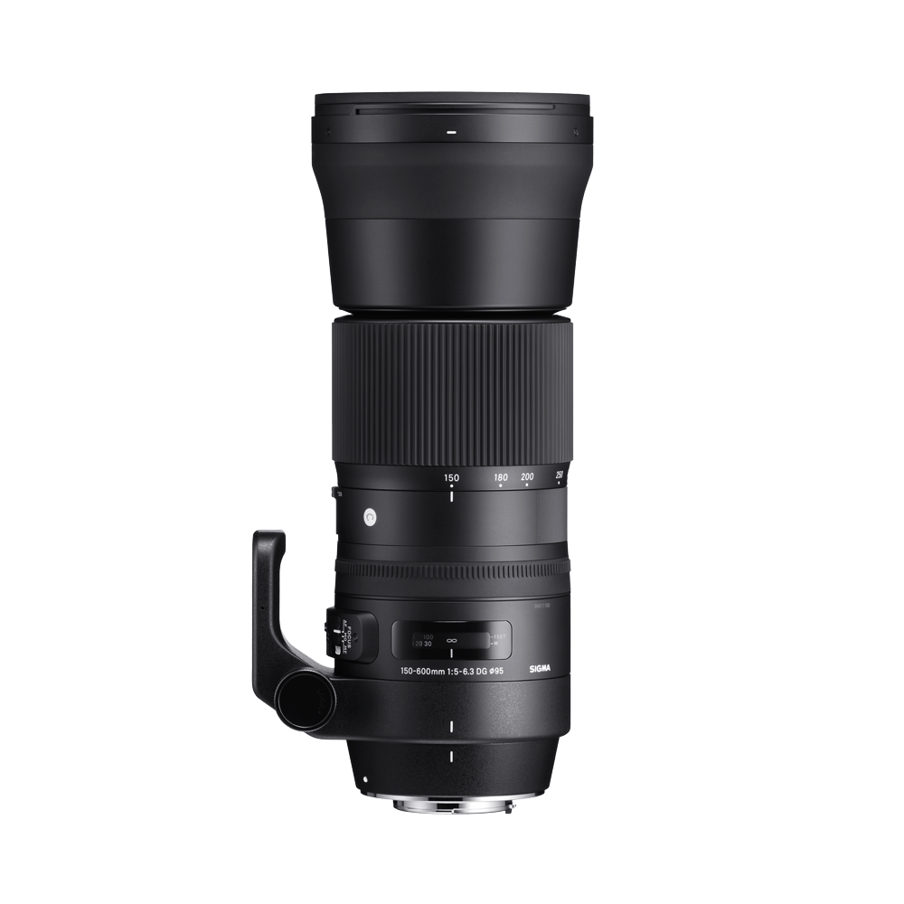 150-600mm F5-6.3 DG OS HSM | LENSES | Sigma
